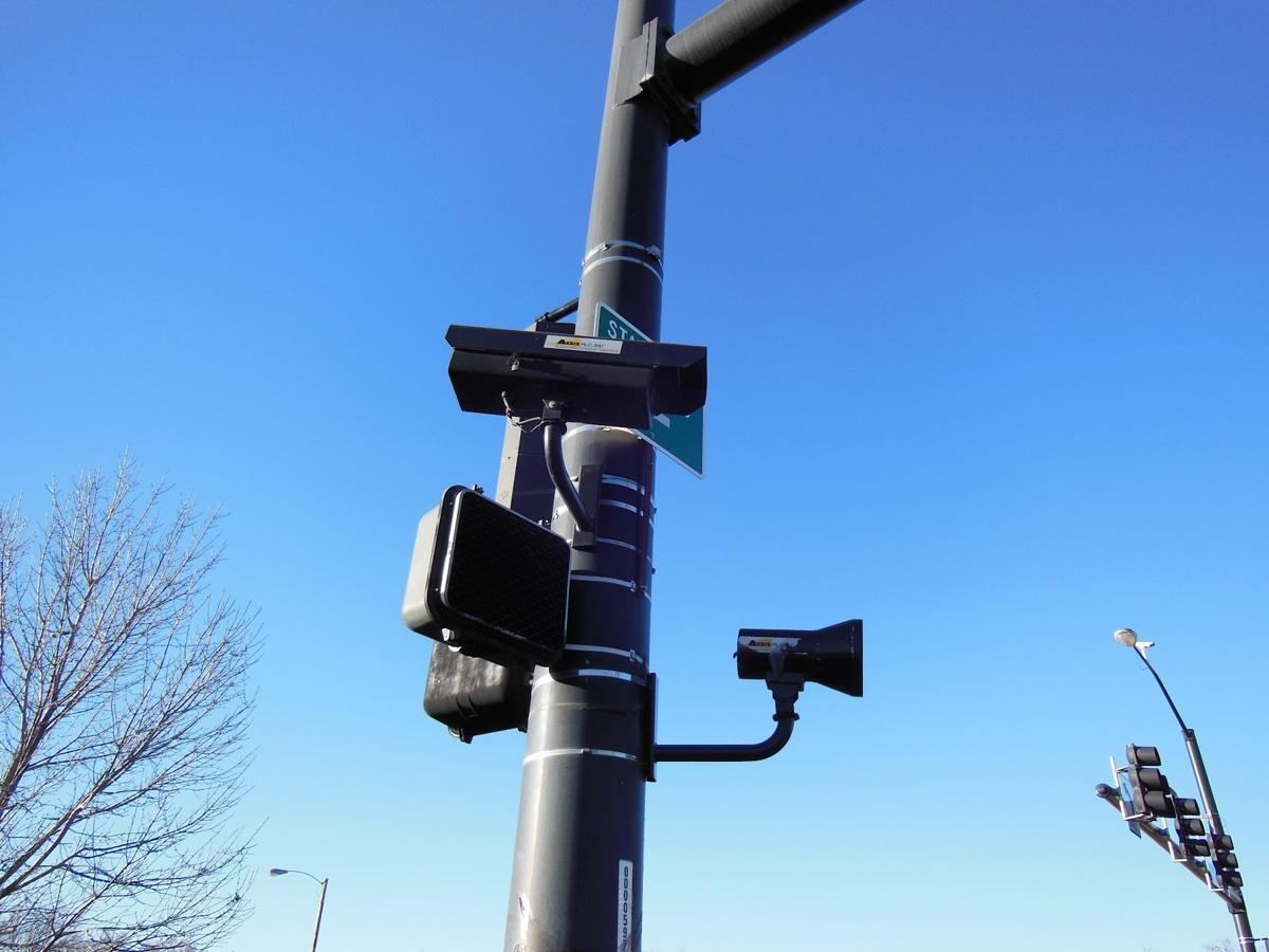 Pole with a camera and horn speaker